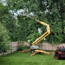 Lawn Grading and Leveling in Oak Grove, TN