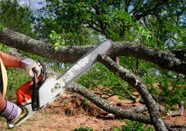 Lawn Irrigation Installation and Maintenance in Oak Grove, TN